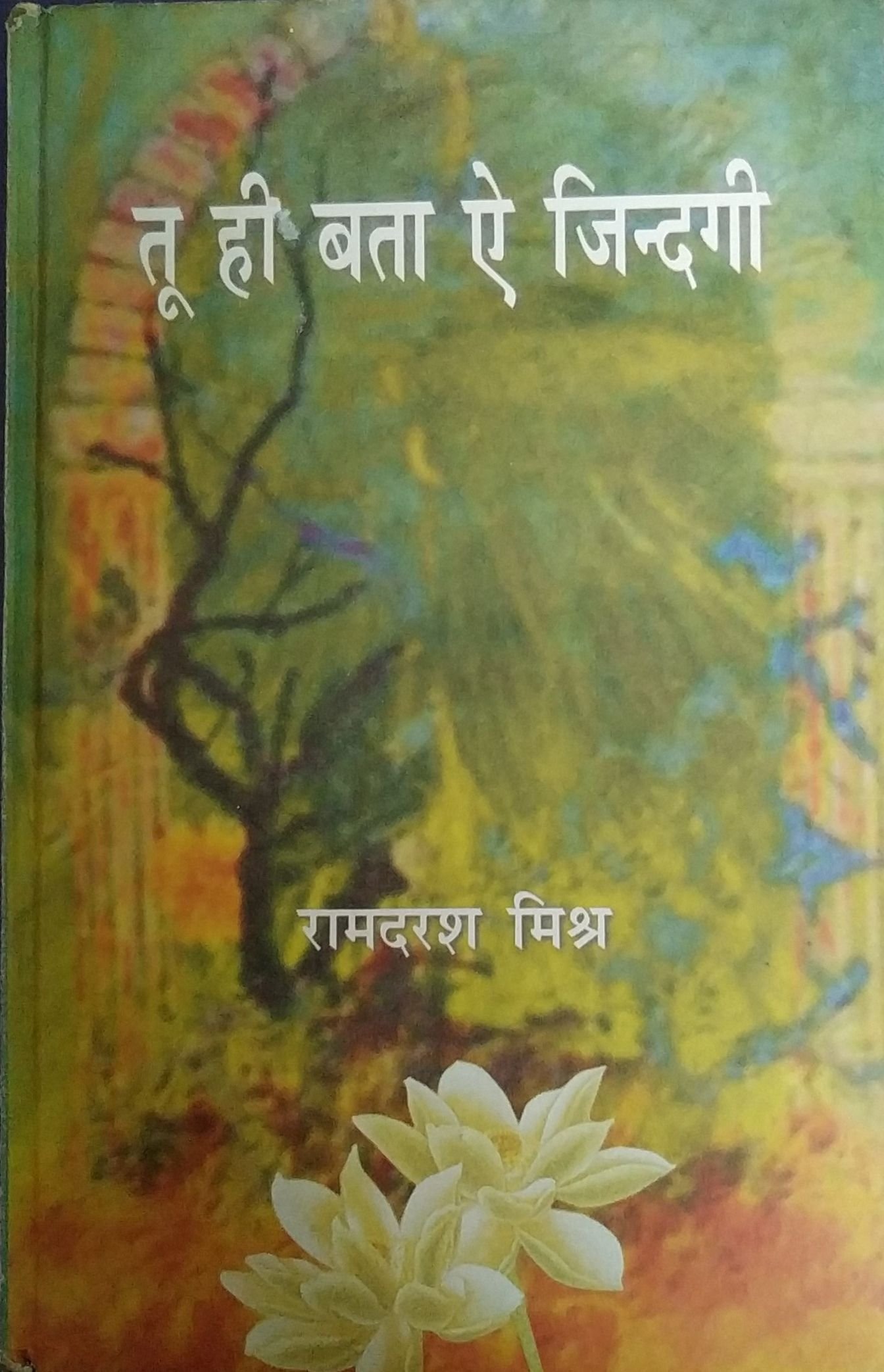 तू ही बता ऐ ज़िंदगी 